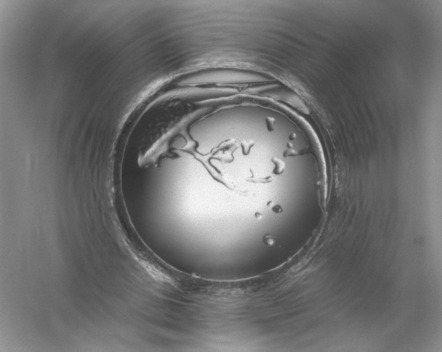 X0000055980438200509091957