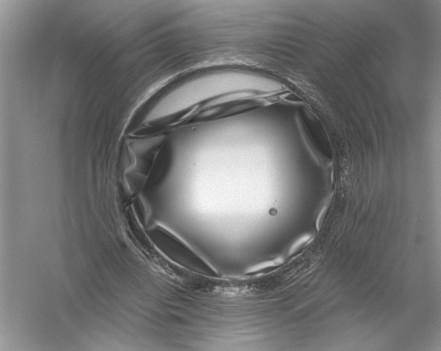 X0000055980440200509091957