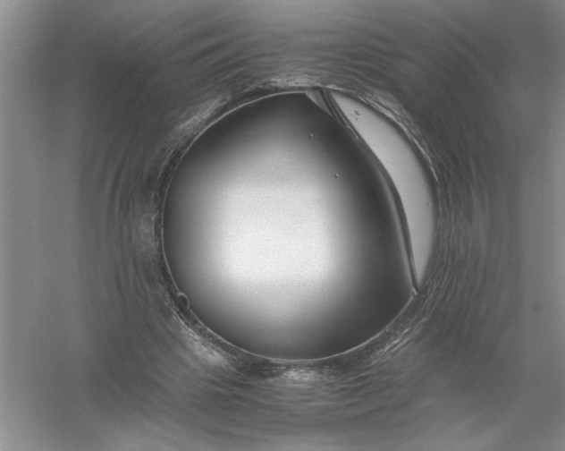 X0000055980441200509091957