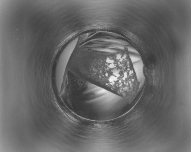 X0000055980442200509091957