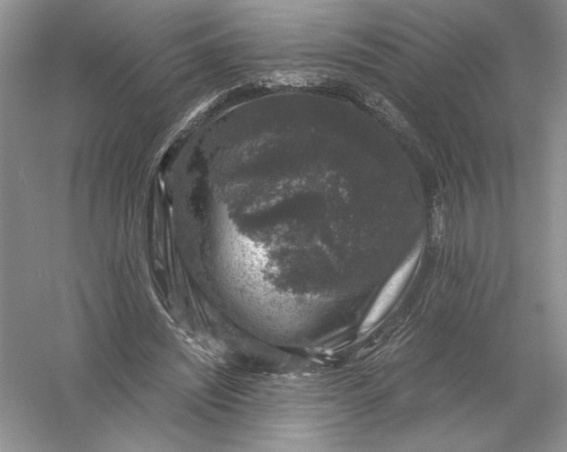 X0000055980444200509091957