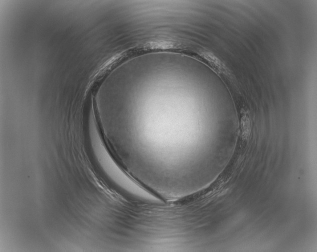 X0000055980446200509091957