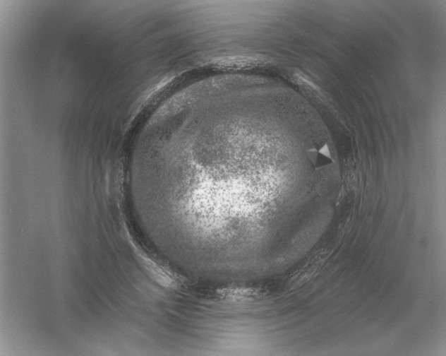 X0000055980448200509091957