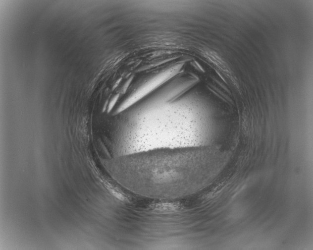 X0000055980449200509091957