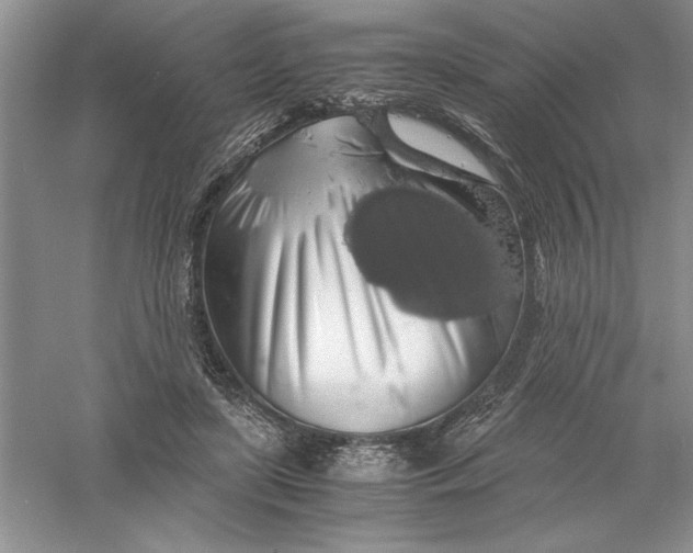 X0000055980451200509091957