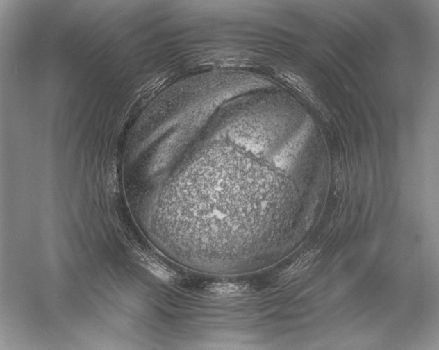 X0000055980453200509091957