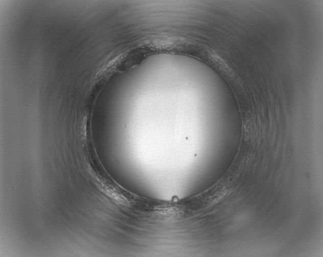 X0000055980454200509091957