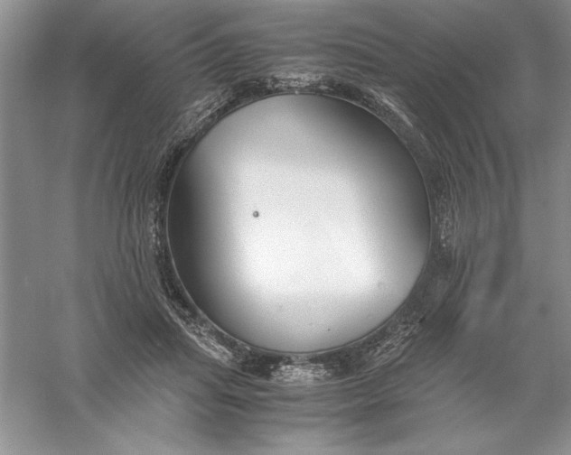 X0000055980455200509091957