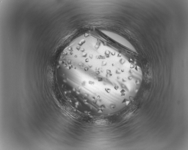 X0000055980456200509091957