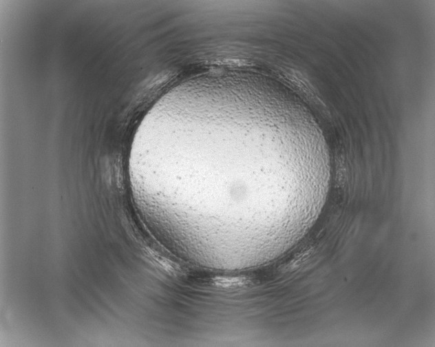 X0000055980457200509091957