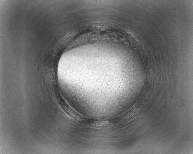 X0000055980459200509091958