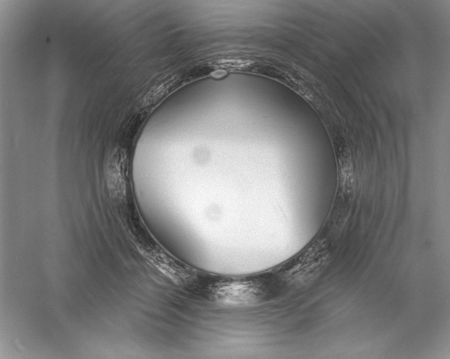 X0000055980460200509091958