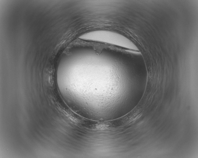 X0000055980462200509091958