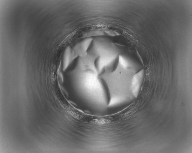 X0000055980464200509091958