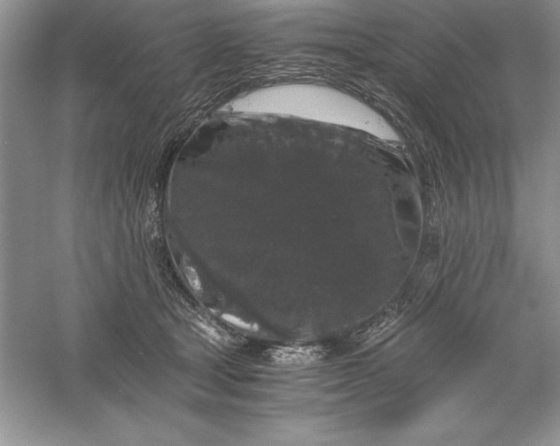 X0000055980465200509091958