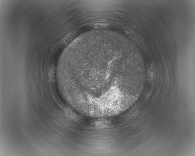 X0000055980468200509091958