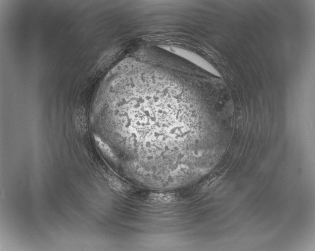 X0000055980469200509091958