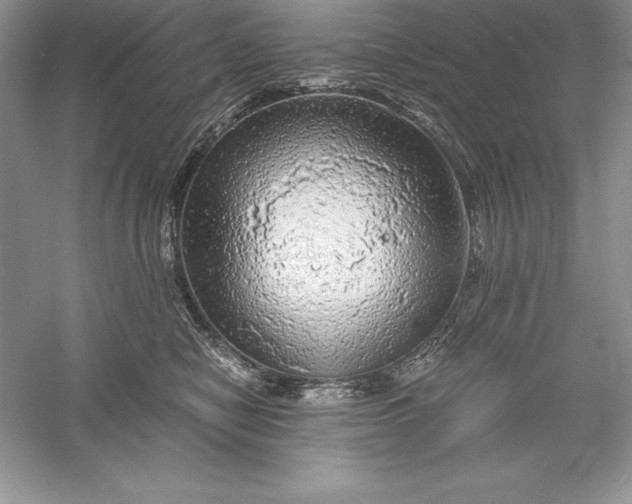 X0000055980470200509091958