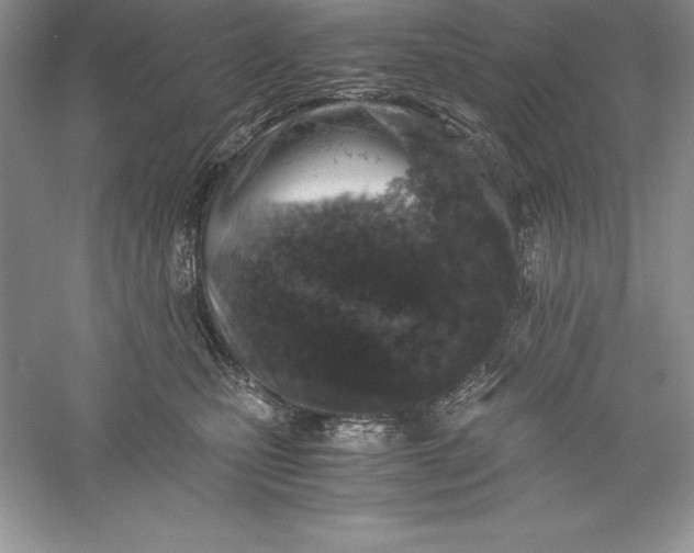 X0000055980471200509091958