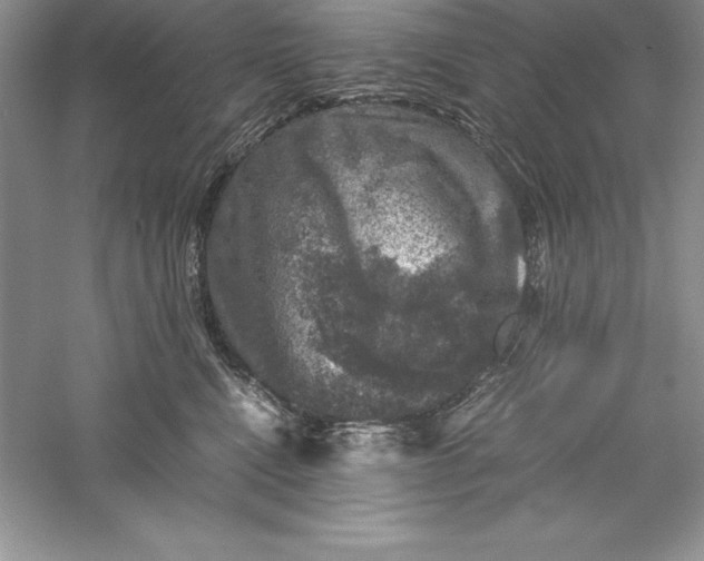 X0000055980472200509091958