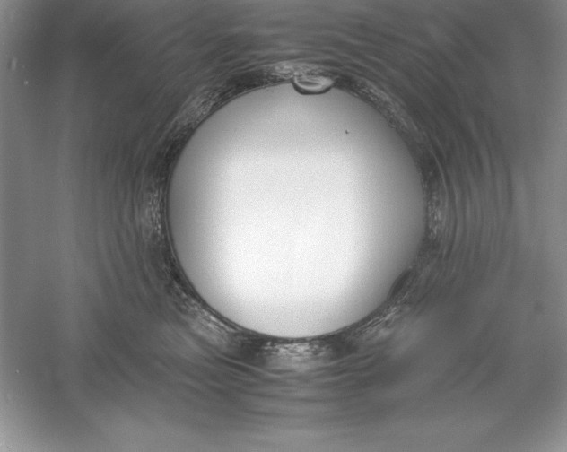 X0000055980473200509091958