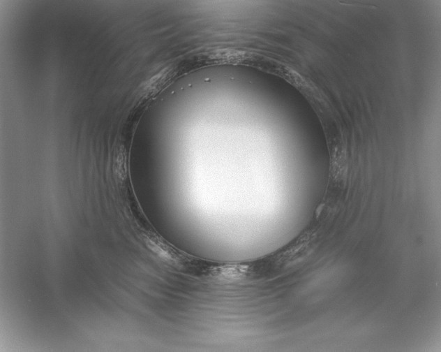 X0000055980474200509091958