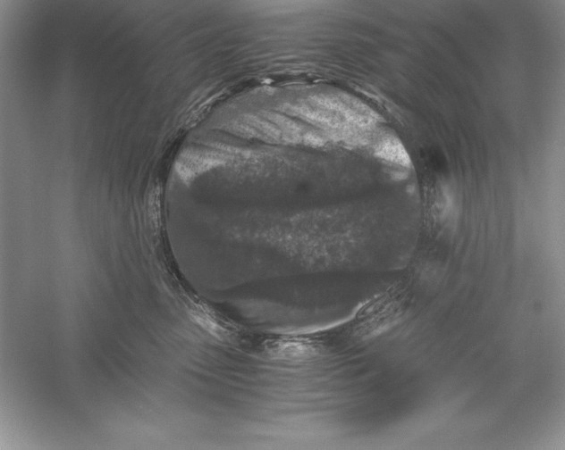 X0000055980475200509091958