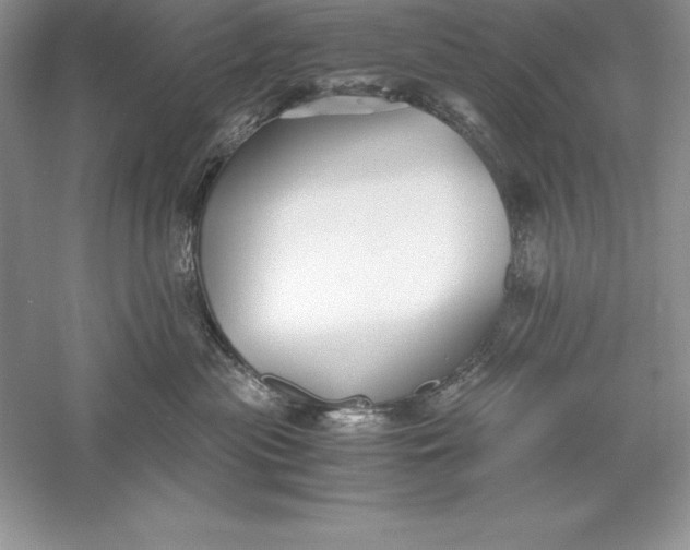 X0000055980477200509091958