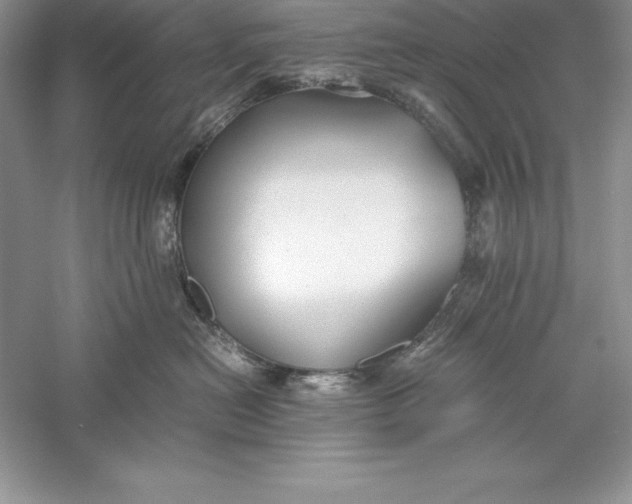 X0000055980478200509091958