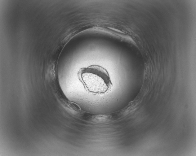 X0000055980479200509091958