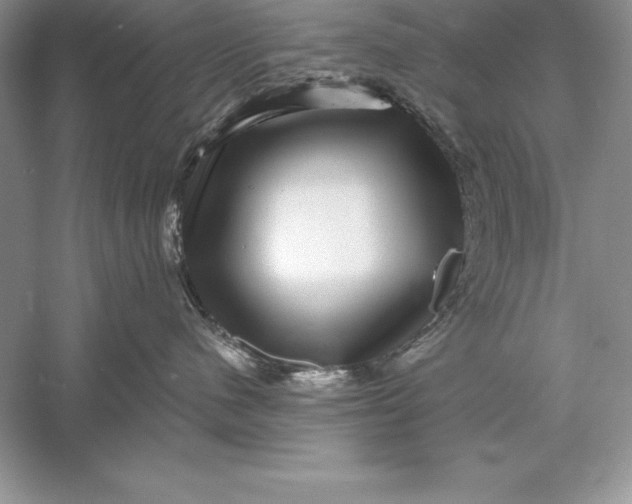 X0000055980480200509091958