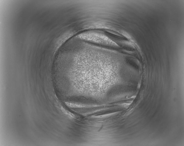 X0000055980481200509091957