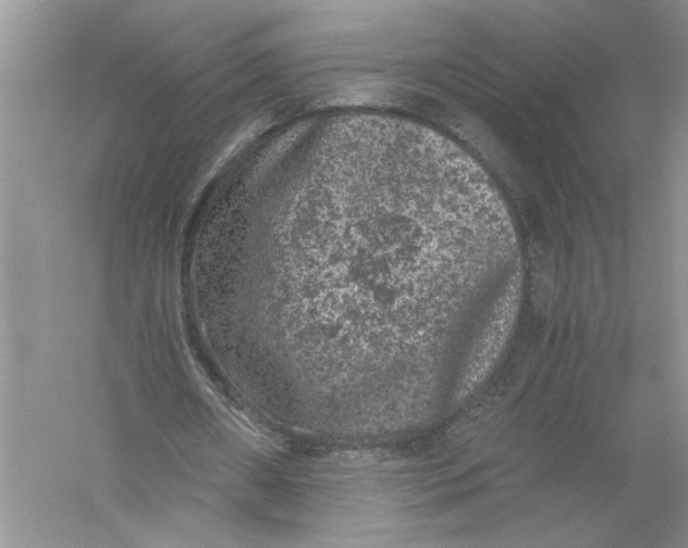 X0000055980482200509091957