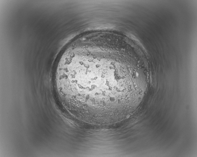 X0000055980483200509091957