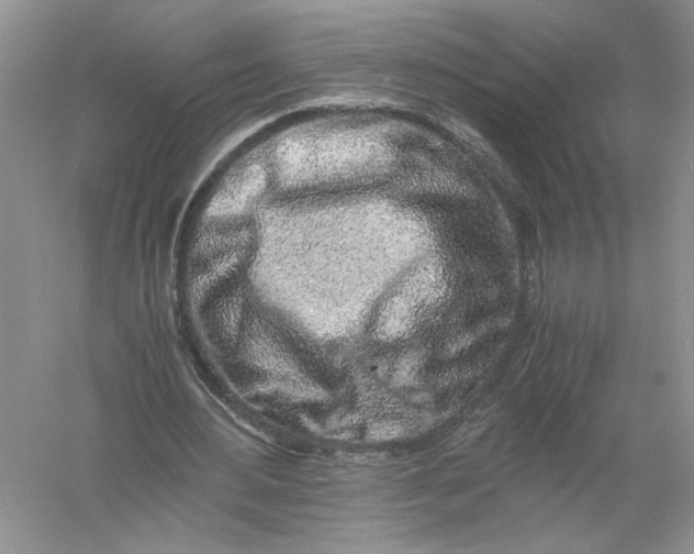 X0000055980484200509091957