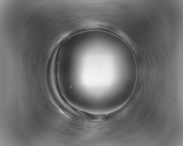 X0000055980485200509091957