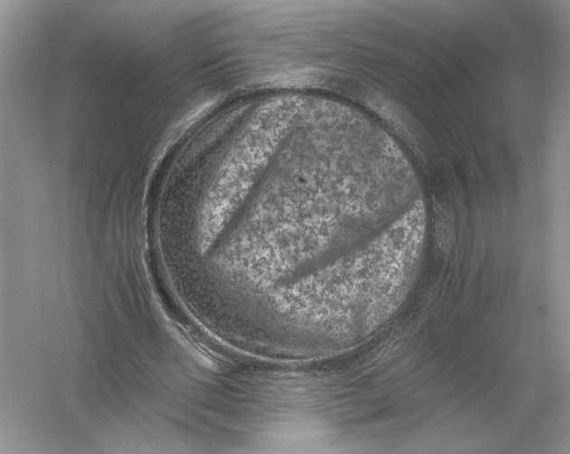 X0000055980486200509091957