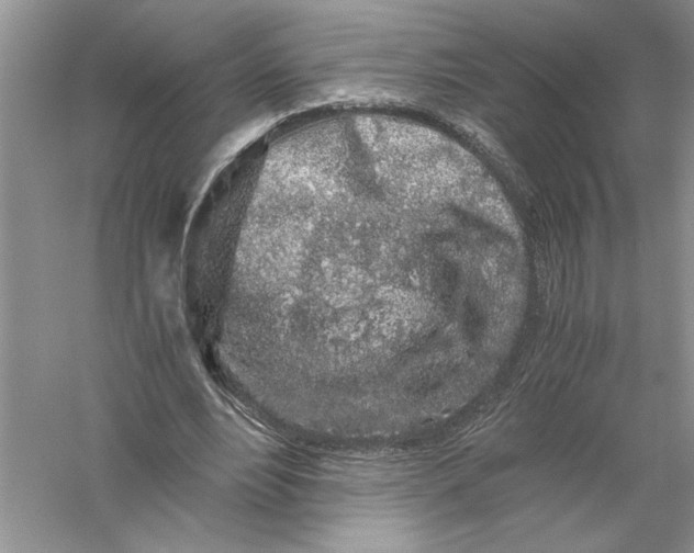 X0000055980488200509091957