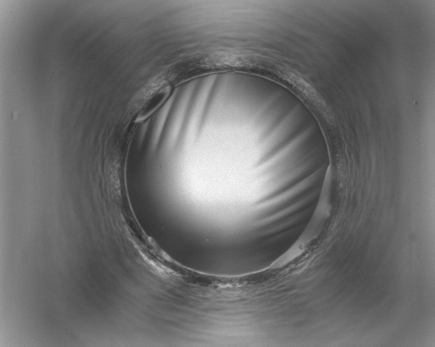 X0000055980489200509091957