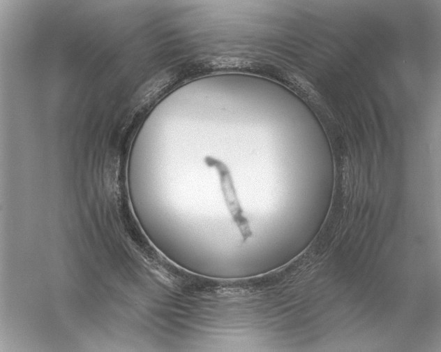 X0000055980490200509091957