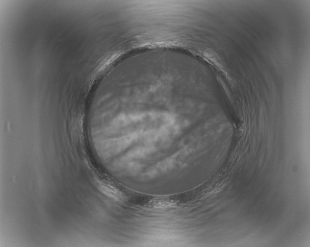 X0000055980491200509091957