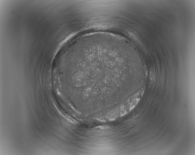 X0000055980492200509091957