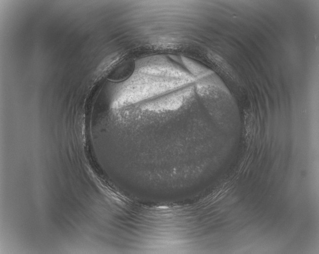 X0000055980494200509091957