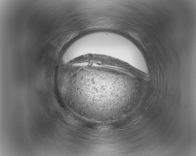 X0000055980495200509091957