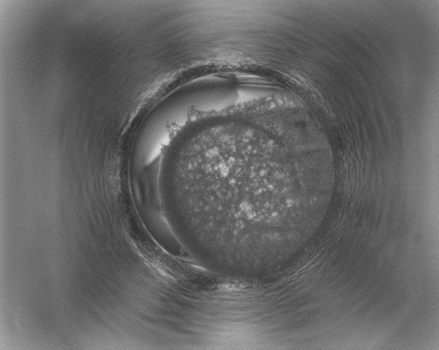 X0000055980496200509091957