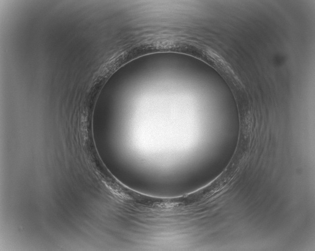 X0000055980497200509091957