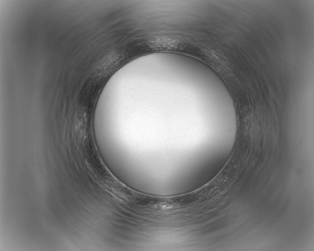 X0000055980498200509091957