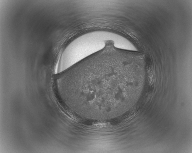 X0000055980499200509091957