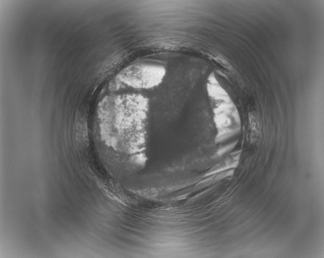 X0000055980500200509091957