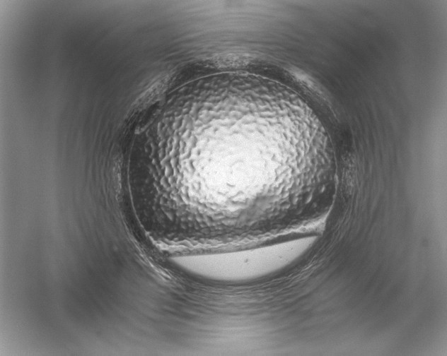 X0000055980501200509091957